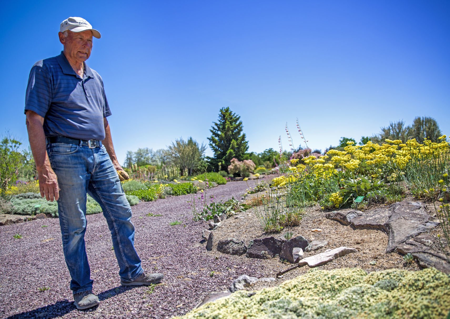 Xeriscaping